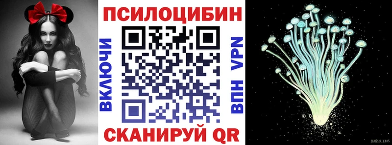 блэк спрут онион  Спас-Клепики  Галлюциногенные грибы GOLDEN TEACHER 